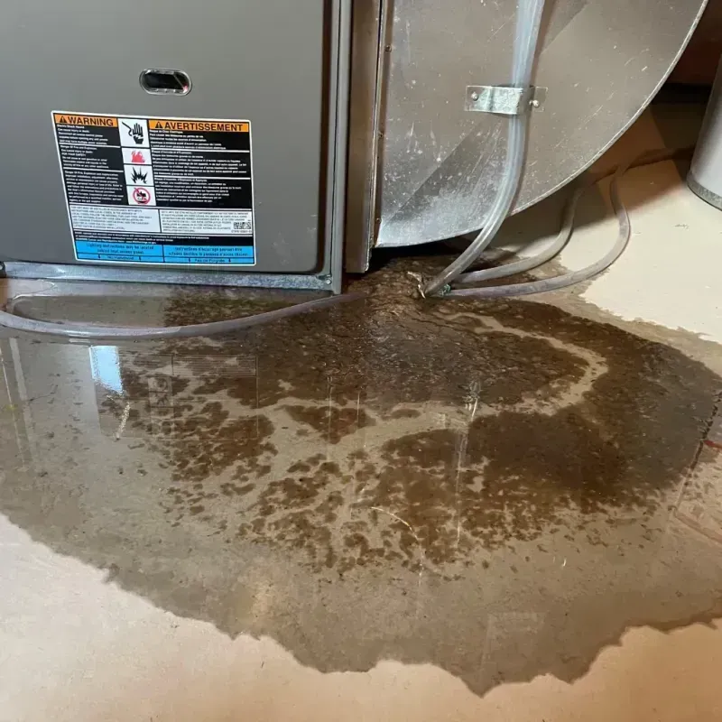 Appliance Leak Cleanup in Milaca, MN